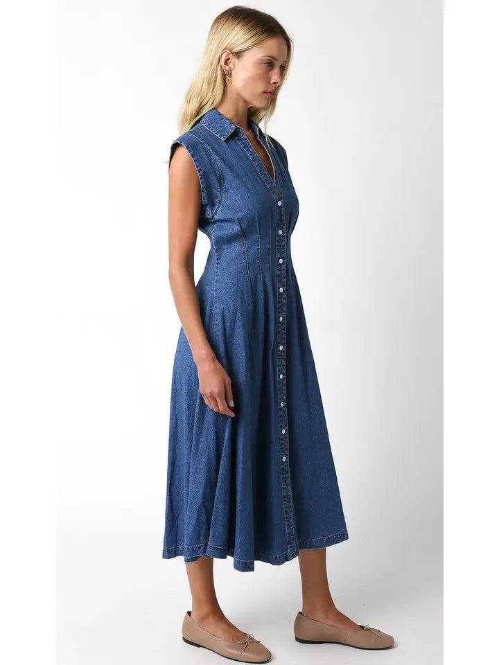 <p>Blair Denim Dress</p>