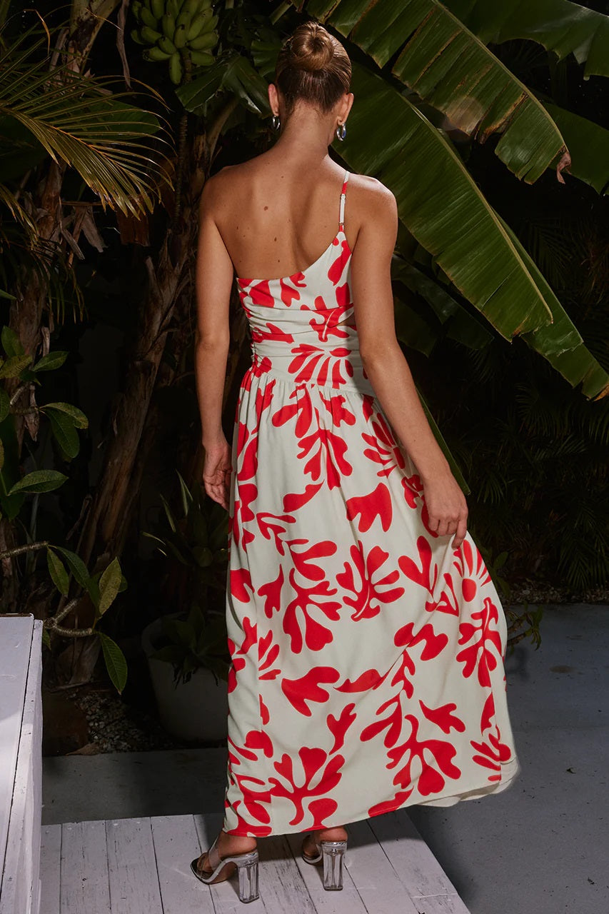 <p>Akeli Maxi Botanica Dress</p>